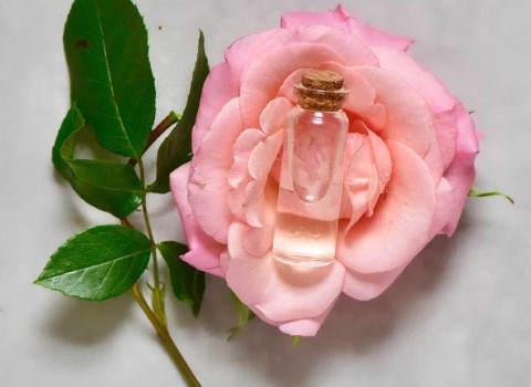 خرید فرش عرق گل محمدی گلاب + قیمت فروش استثنایی
